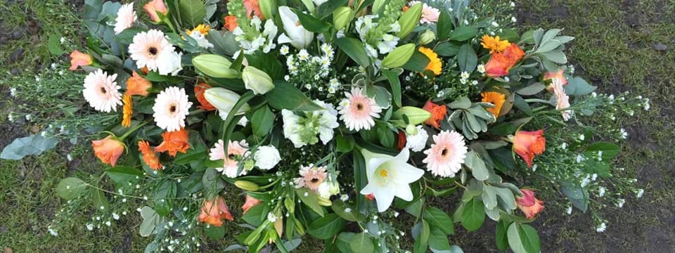 Uccle Flore — Maison à Uccle — photo 2