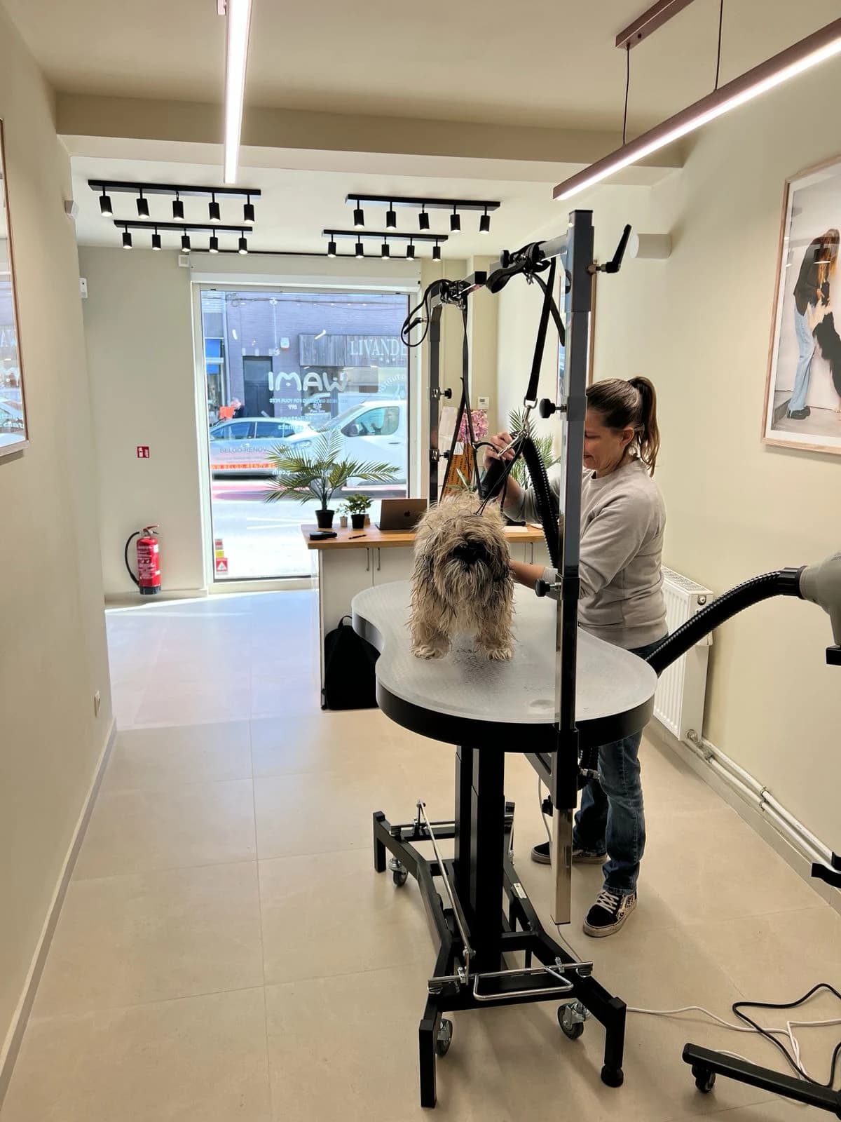 WAMI Grooming Uccle — Animaux à Uccle — photo 2