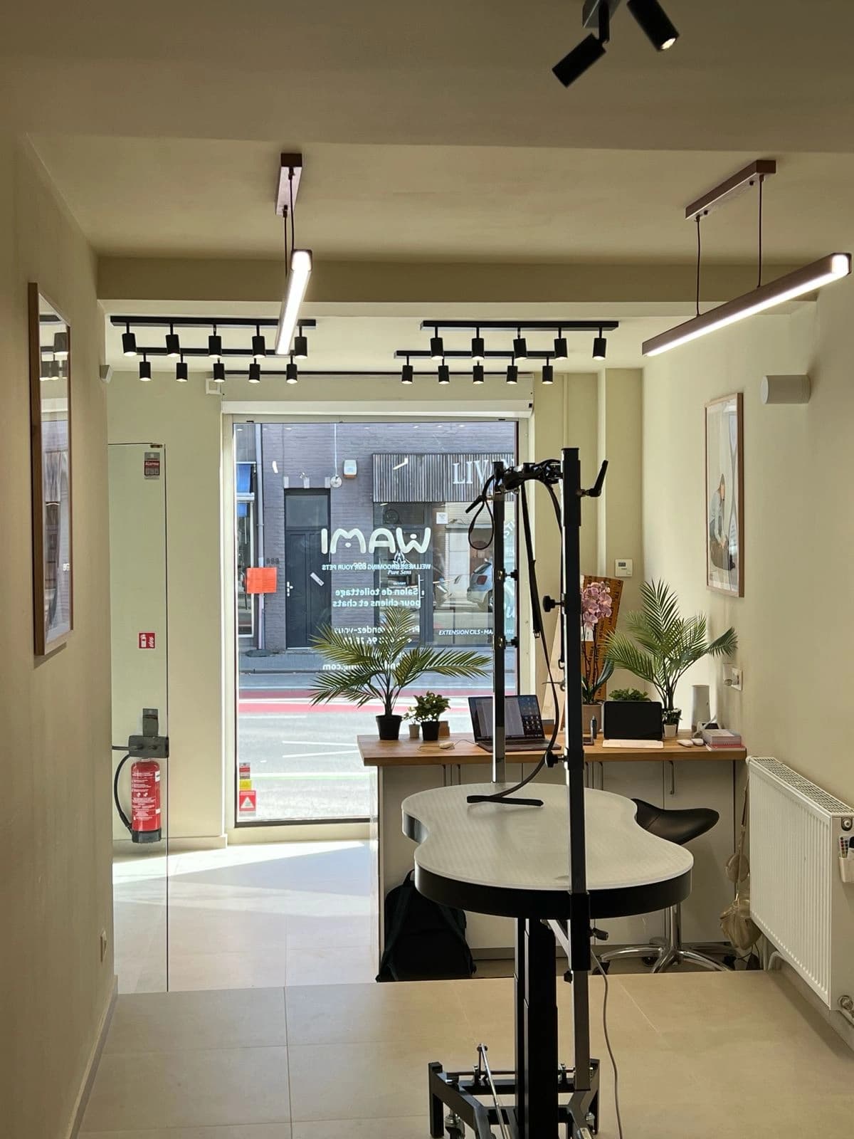 WAMI Grooming Uccle — Animaux à Uccle — photo 3