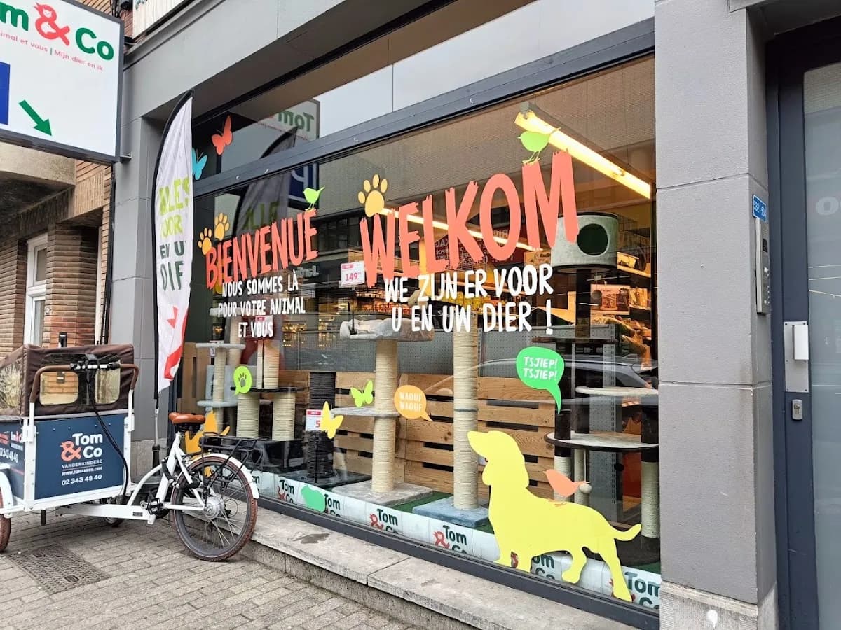 Tom & Co Vanderkindere — Animaux à Uccle