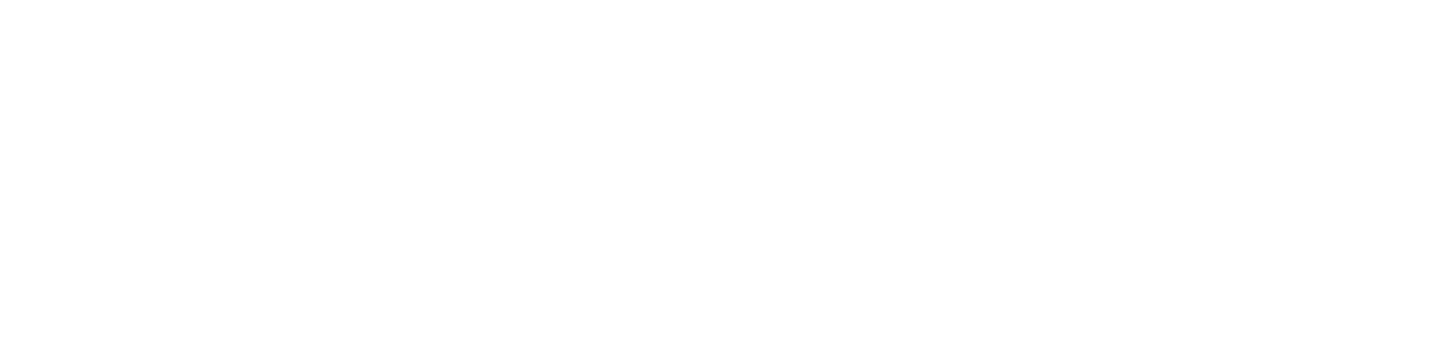 Logo — No Concept Market